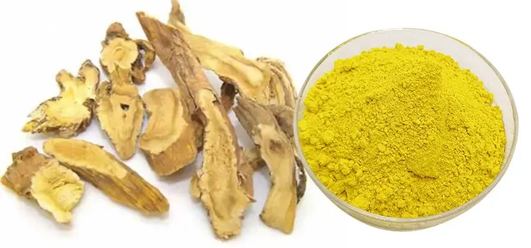Berberine Powder Berberine Powder