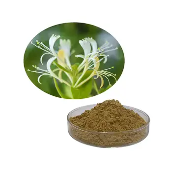 Organic Honeysuckle Extract Supplier Organic Honeysuckle Extract Supplier
