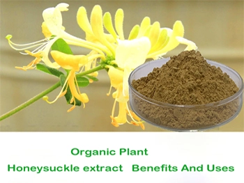 Honeysuckle extract powder Honeysuckle extract powder