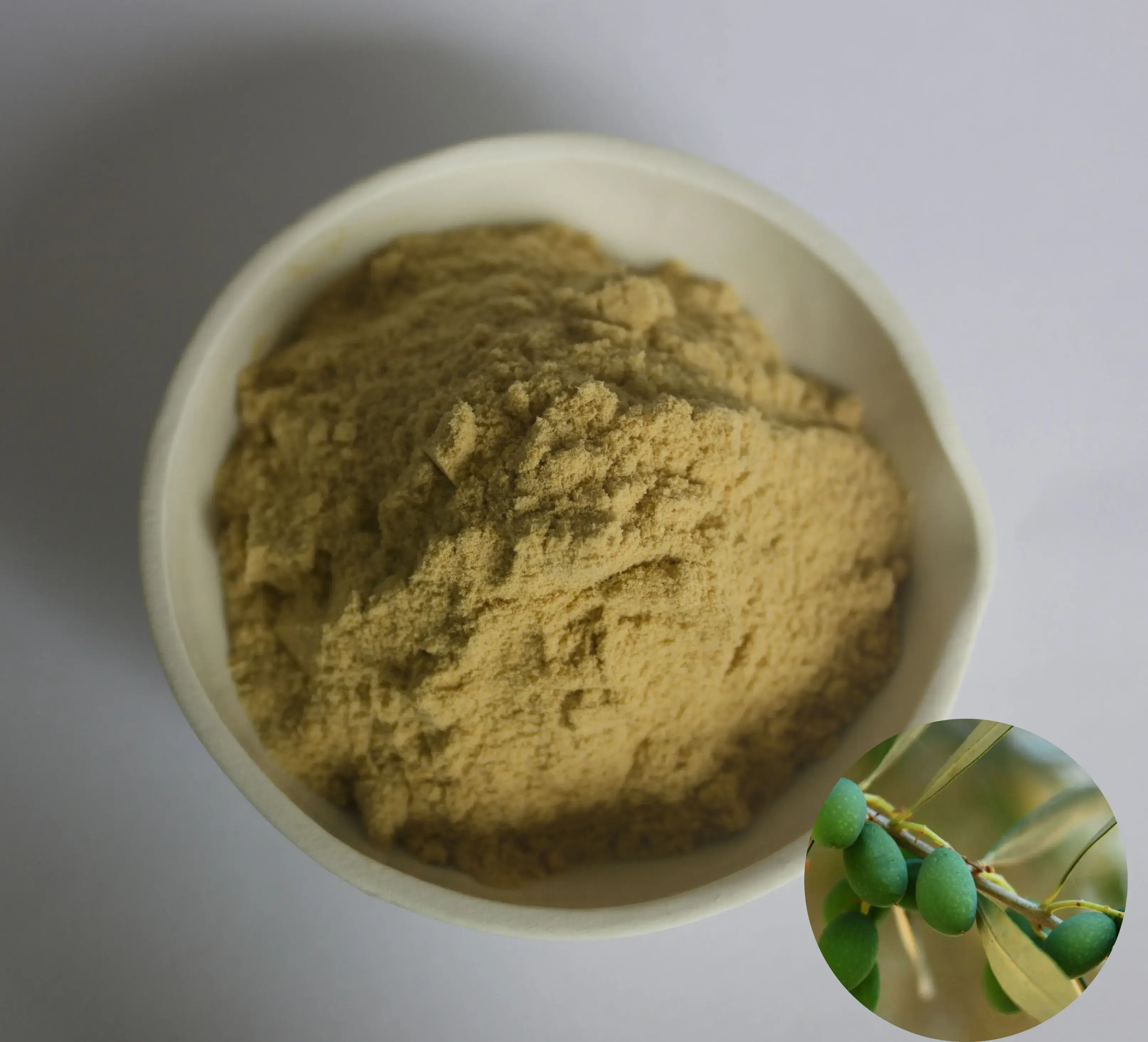 olive leaf extract hydroxytyrosol