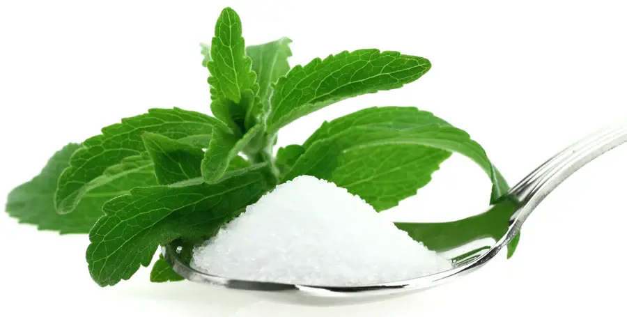 Stevia Extract Powder 