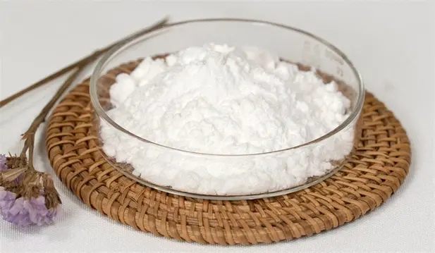 UDCA Powder 