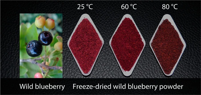 Anthocyanin powder Anthocyanin powder