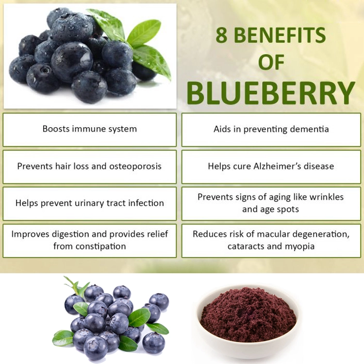 HONGDA Wholesale Organic Blueberry Extract Powder Anthocyanin Blueberry Extract HONGDA Wholesale Organic Blueberry Extract Powder Anthocyanin Blueberry Extract