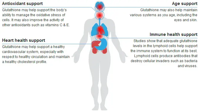L-Glutathione Health Benefits 