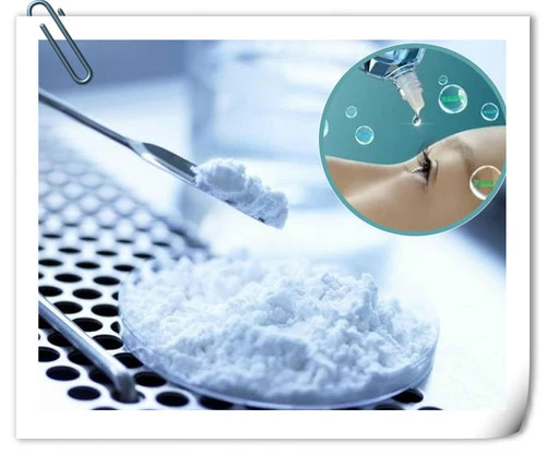Hyaluronic Acid Sodium Hyaluronate Powder Hyaluronic Acid Sodium Hyaluronate Powder