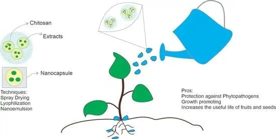 Chitosan for plant Chitosan for plant