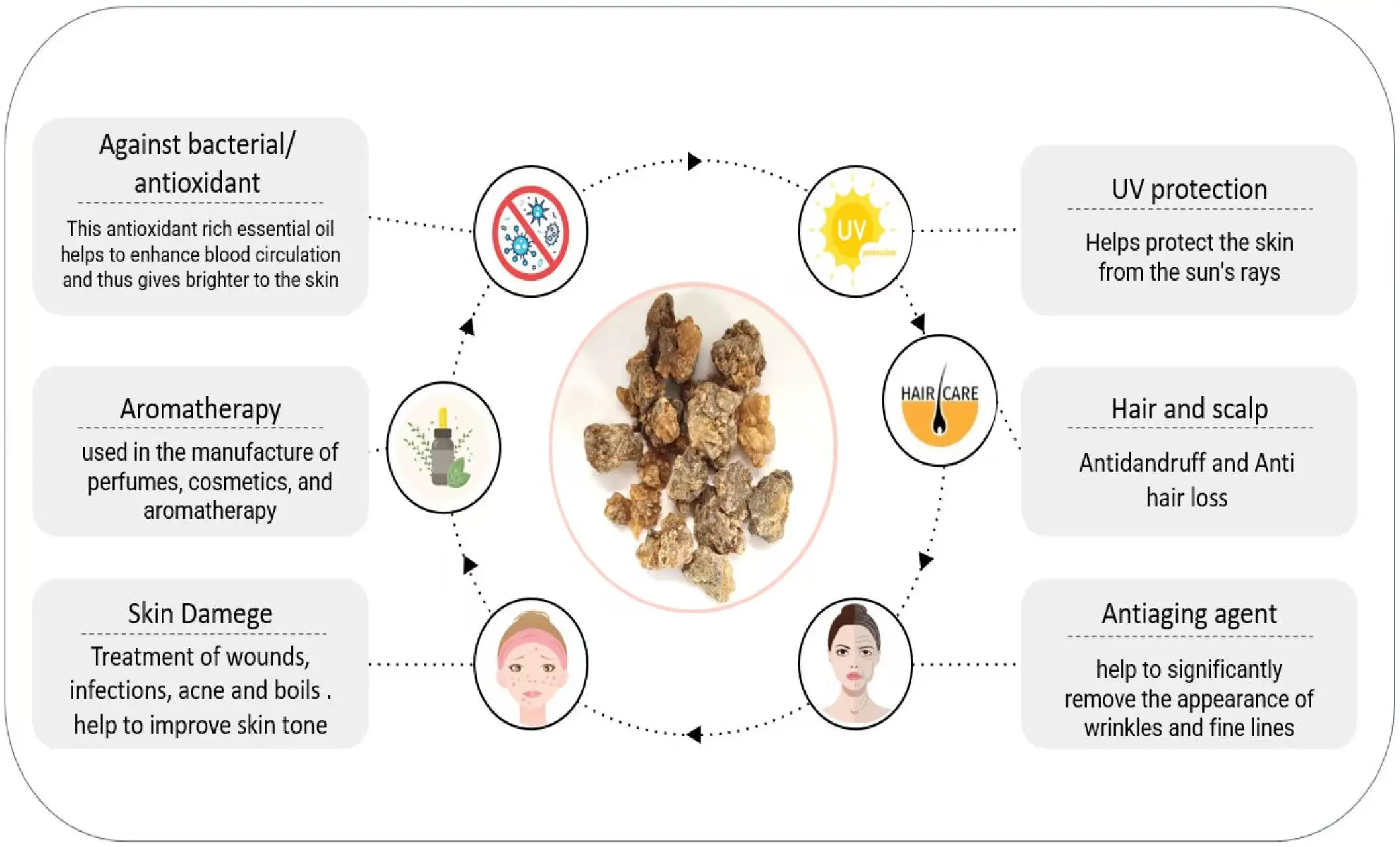 Boswellia serrata Extract Benefits/boswellia resin extract benefits Boswellia serrata Extract Benefits/boswellia resin extract benefits