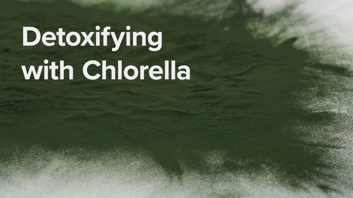 Detoxifying with Chlorella Powder Detoxifying with Chlorella Powder