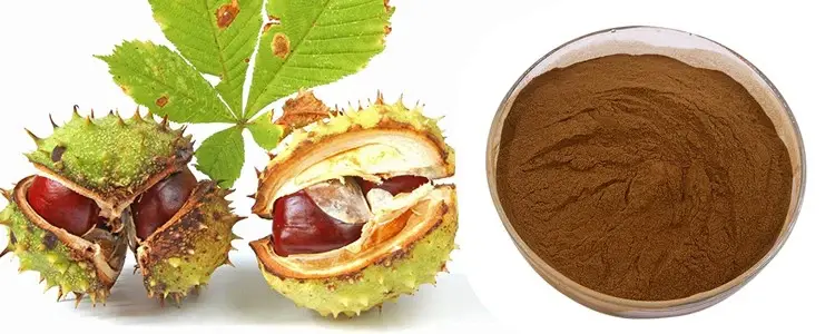horse chestnut extract powder