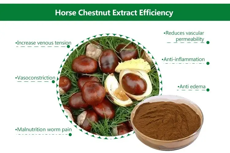 horse chestnut extract efficiency horse chestnut extract efficiency