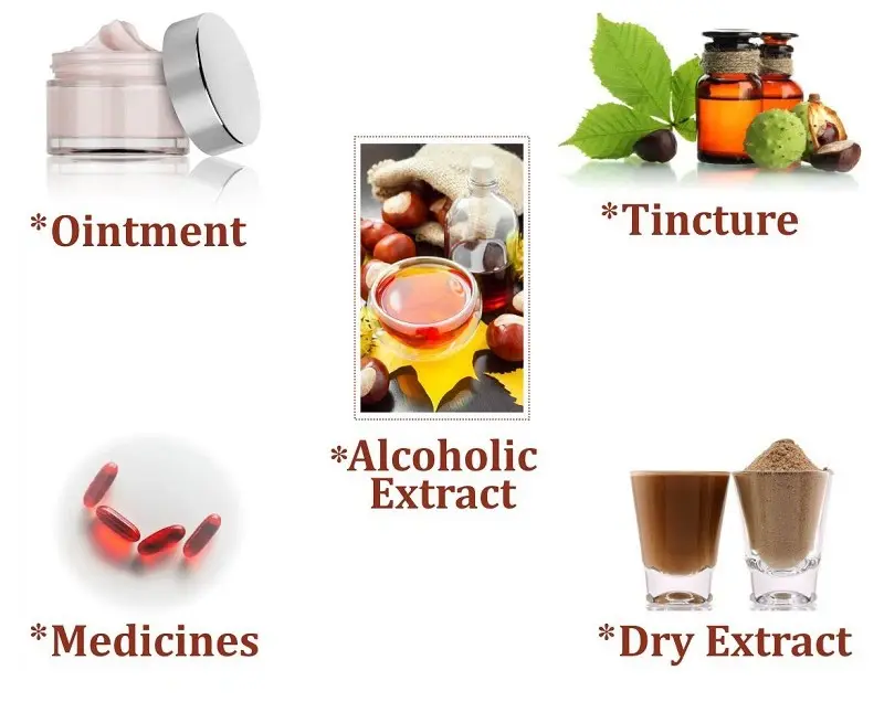 Chestnut Extract Used For