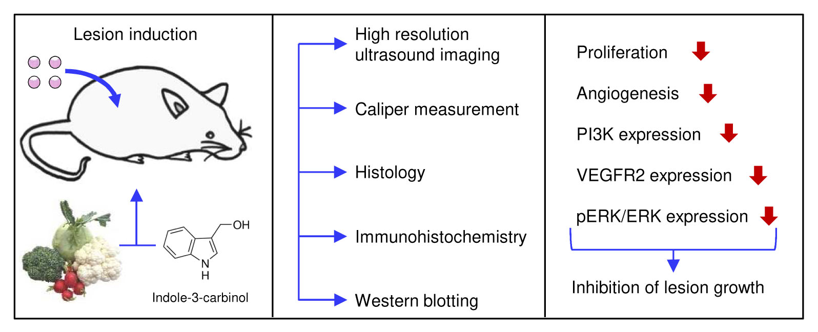 Indole-3-Carbinol Powder Indole-3-Carbinol Powder