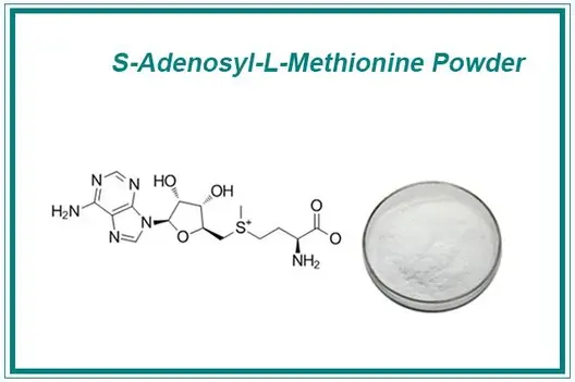 S-adenosyl-L-methionine Powder S-adenosyl-L-methionine Powder