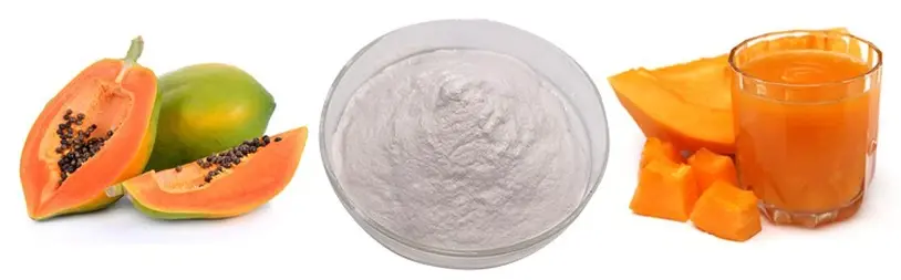 Papain Powder