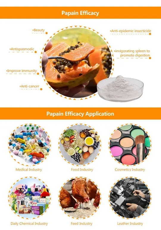 Papain enzyme benefits 