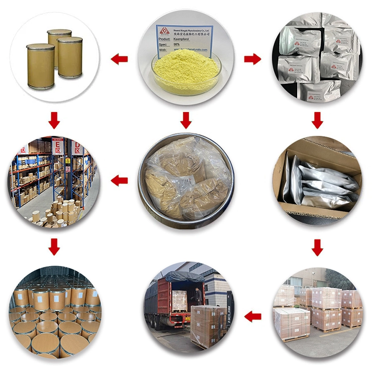 Packaging Packaging