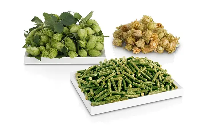 Hops flower powder