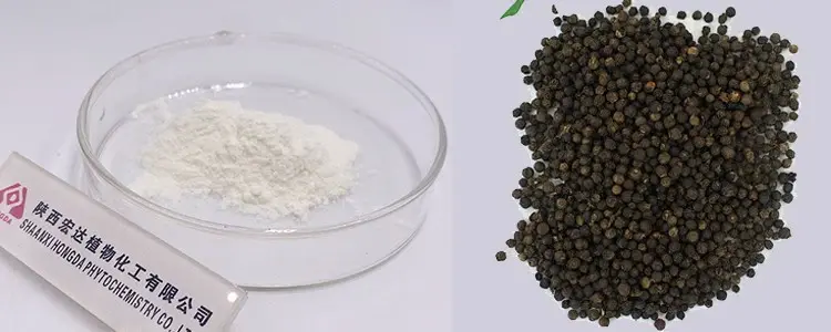 Qara bibər ekstraktı tozu Qara bibər ekstraktı tozu