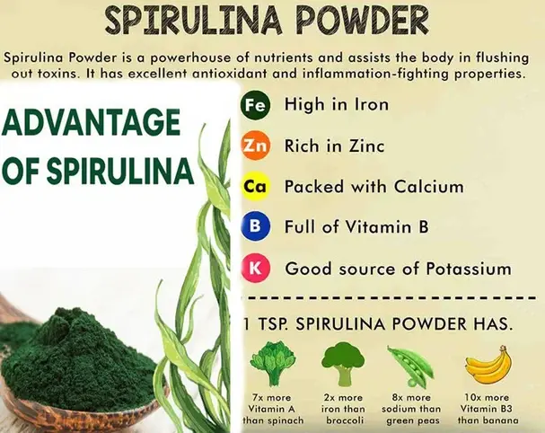 spirulina powder nutrition spirulina powder nutrition