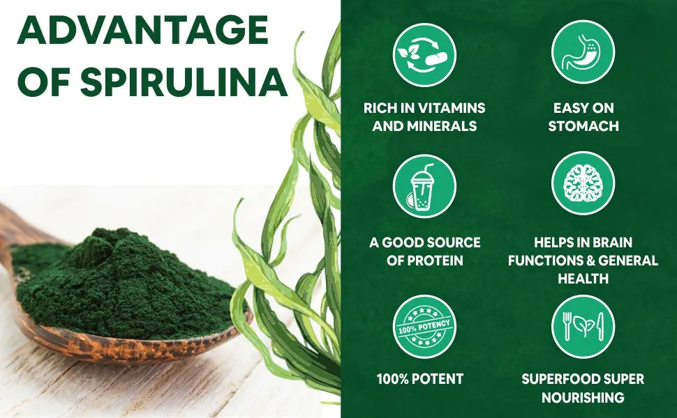 100% organic spirulina powder benefits 100% organic spirulina powder benefits