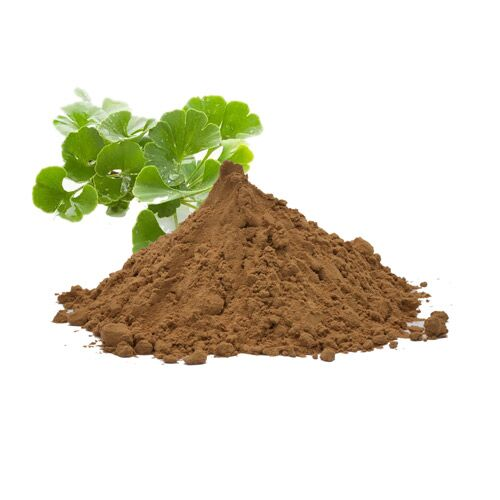 Ginkgo biloba extract Ginkgo biloba extract