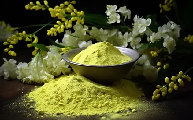 Quercetin Bulk Powder Quercetin Bulk Powder