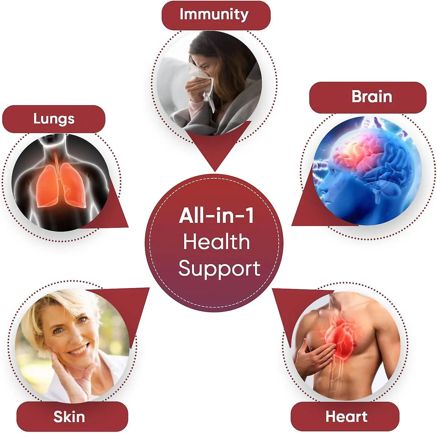 Pure Quercetin For Heart Pure Quercetin For Heart