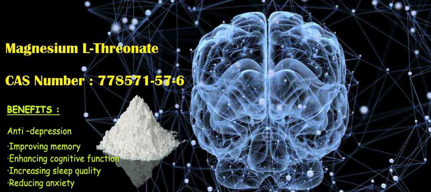Magnesium L-Threonate,CAS NO 778571-57-6,MgT