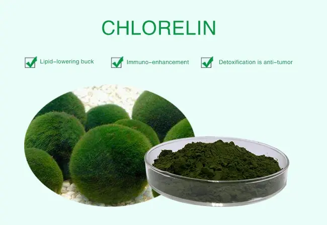 chlorella powder benefits chlorella powder benefits
