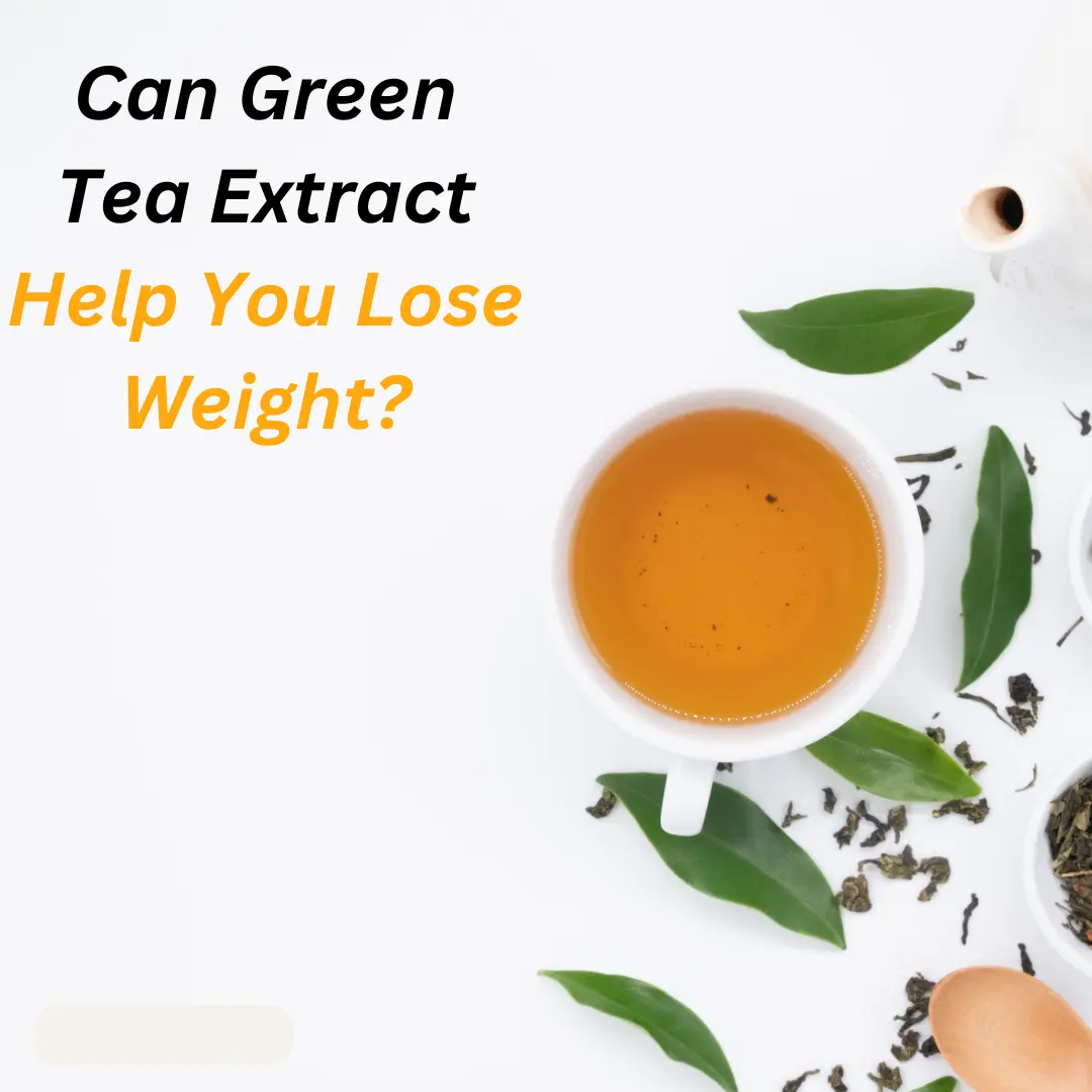 Can Green Tea Extract Help You Lose Weight? Can Green Tea Extract Help You Lose Weight?