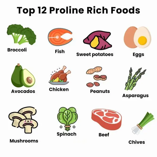 L-proline in food L-proline in food
