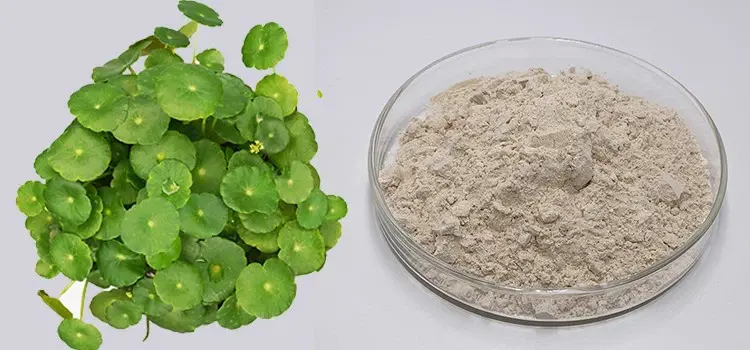 centella asiatica extract centella asiatica extract