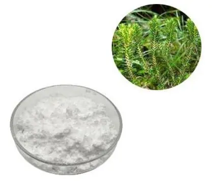 Huperzine - Huperzine A Powder
