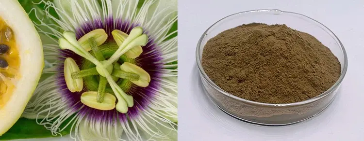 passion flower extract powder passion flower extract powder