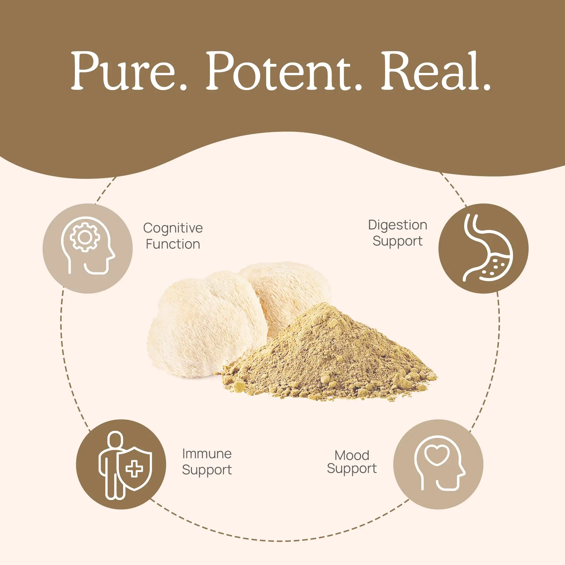 Organic Lions Mane Mushroom Powder Benefits
