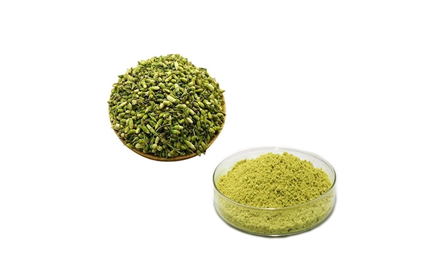 China Quercetin extract powder CAS 117-39-5 factory and manufacturers 