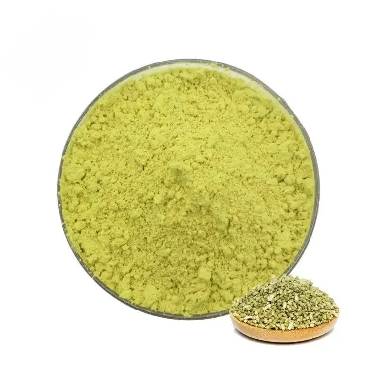 High Quality Bulk 6151-25-3 Quercetin Dihydrate/Quercetin Powder/Quercetin  98%