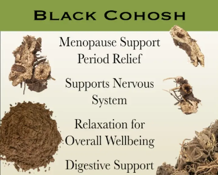 Benefits Of Black Cohosh Extract Benefits Of Black Cohosh Extract