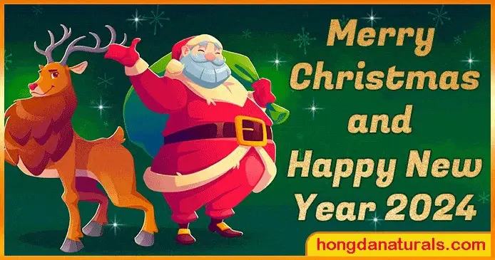 Merry Cheristmas Day---2024