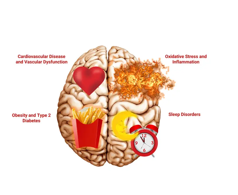 Cognitive Decline & Mild Cognitive ----COQ 10
