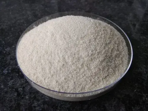 Chitosan powder Chitosan powder