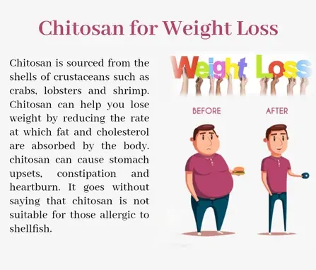 Chitosan For Weight Loss Chitosan For Weight Loss