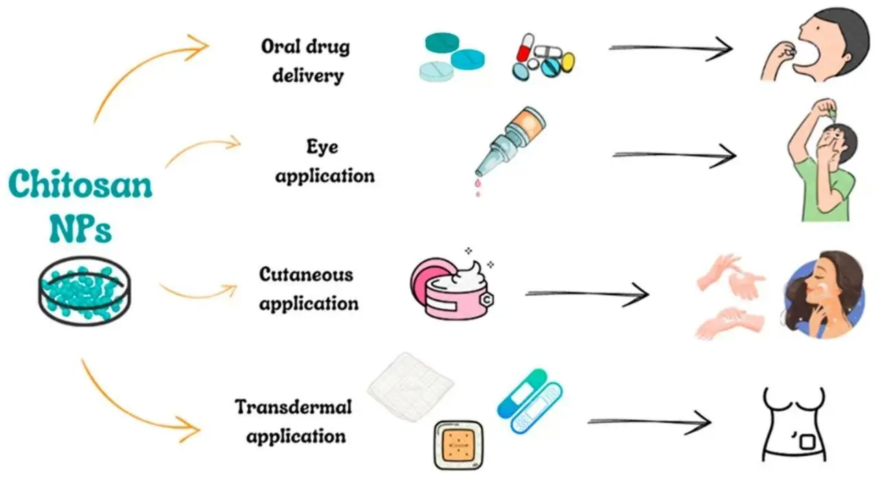 Drug Delivery - Chitosan Drug Delivery - Chitosan