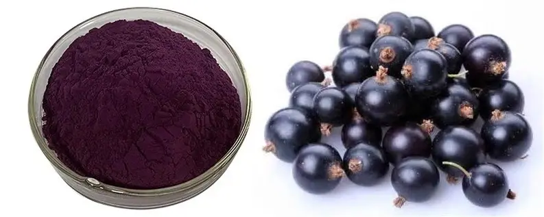 Acai berry powder organic Acai berry powder organic