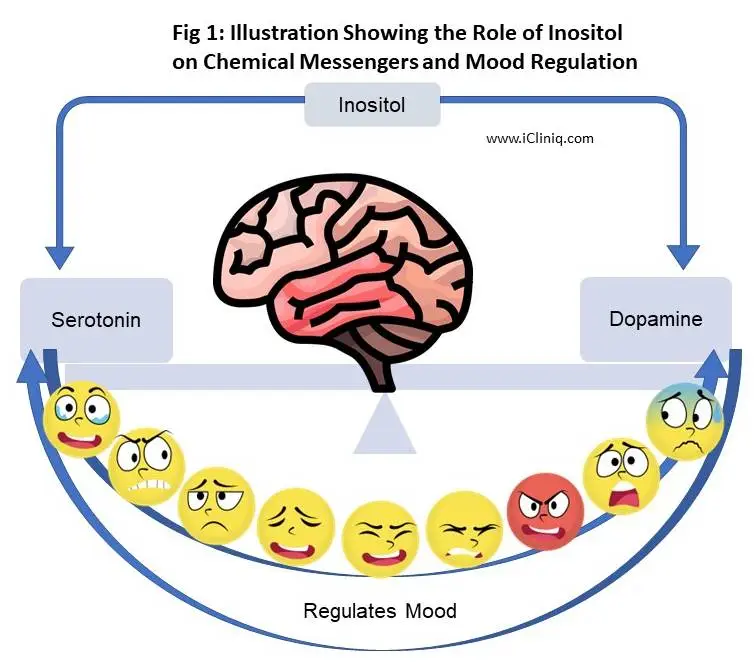 Myo-Inositol For Brain Myo-Inositol For Brain