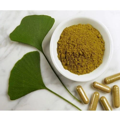 Ginkgo Biloba leaf extract powder Ginkgo Biloba leaf extract powder