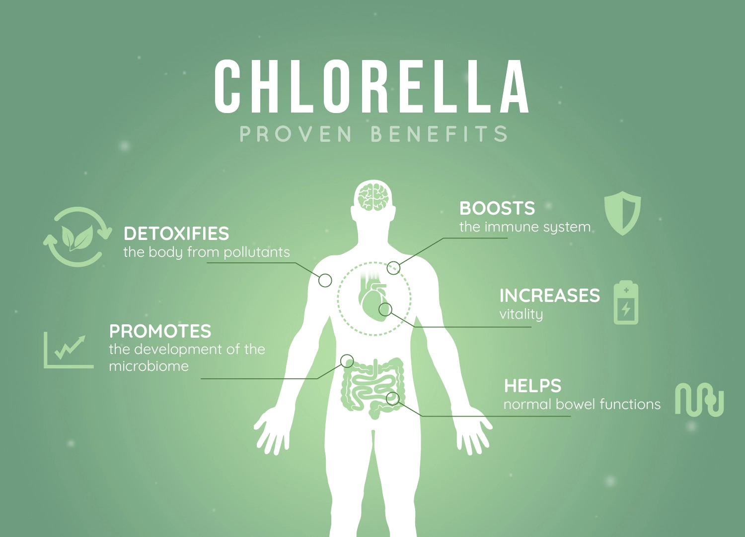 Chlorella Benefits Chlorella Benefits