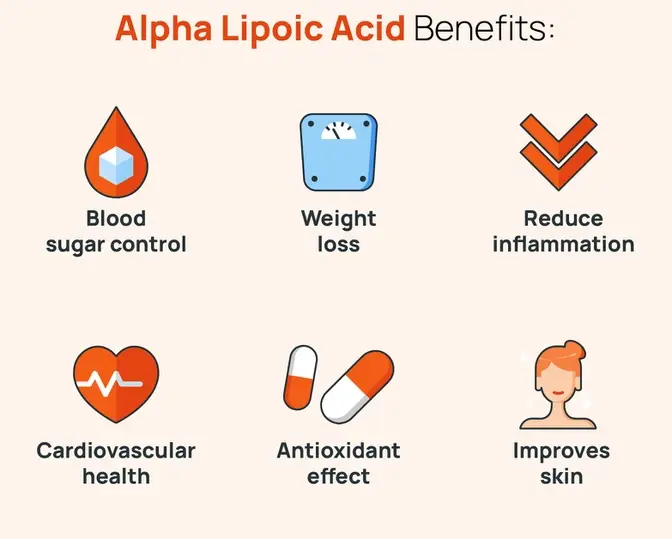 Benefits Of Alpha Lipoic Acid