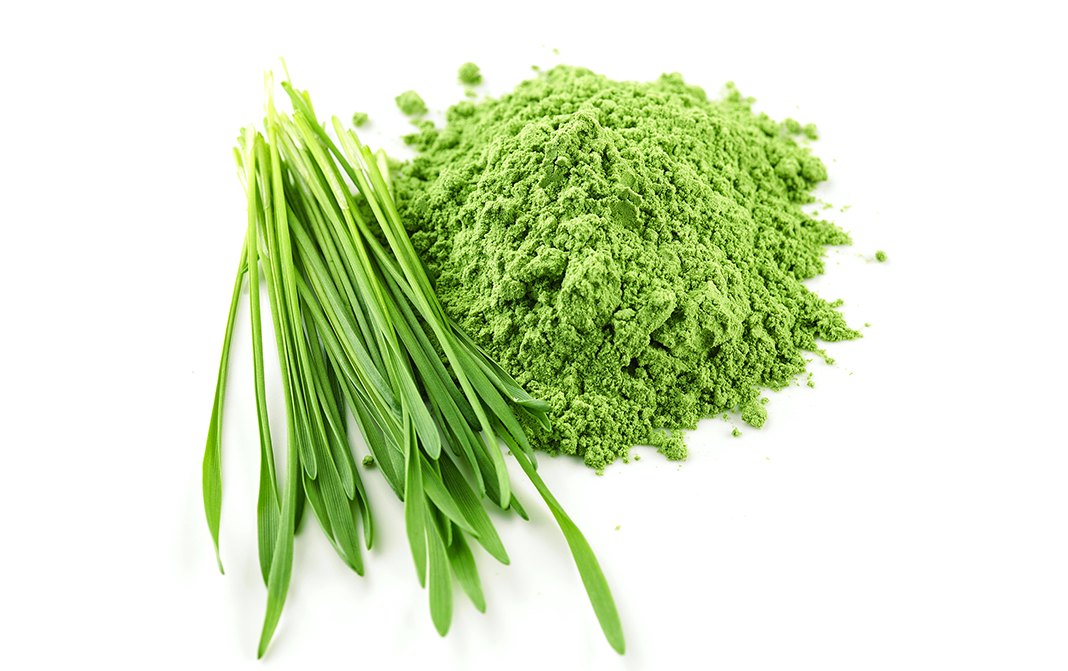 Organic Barley Grass Powder Organic Barley Grass Powder